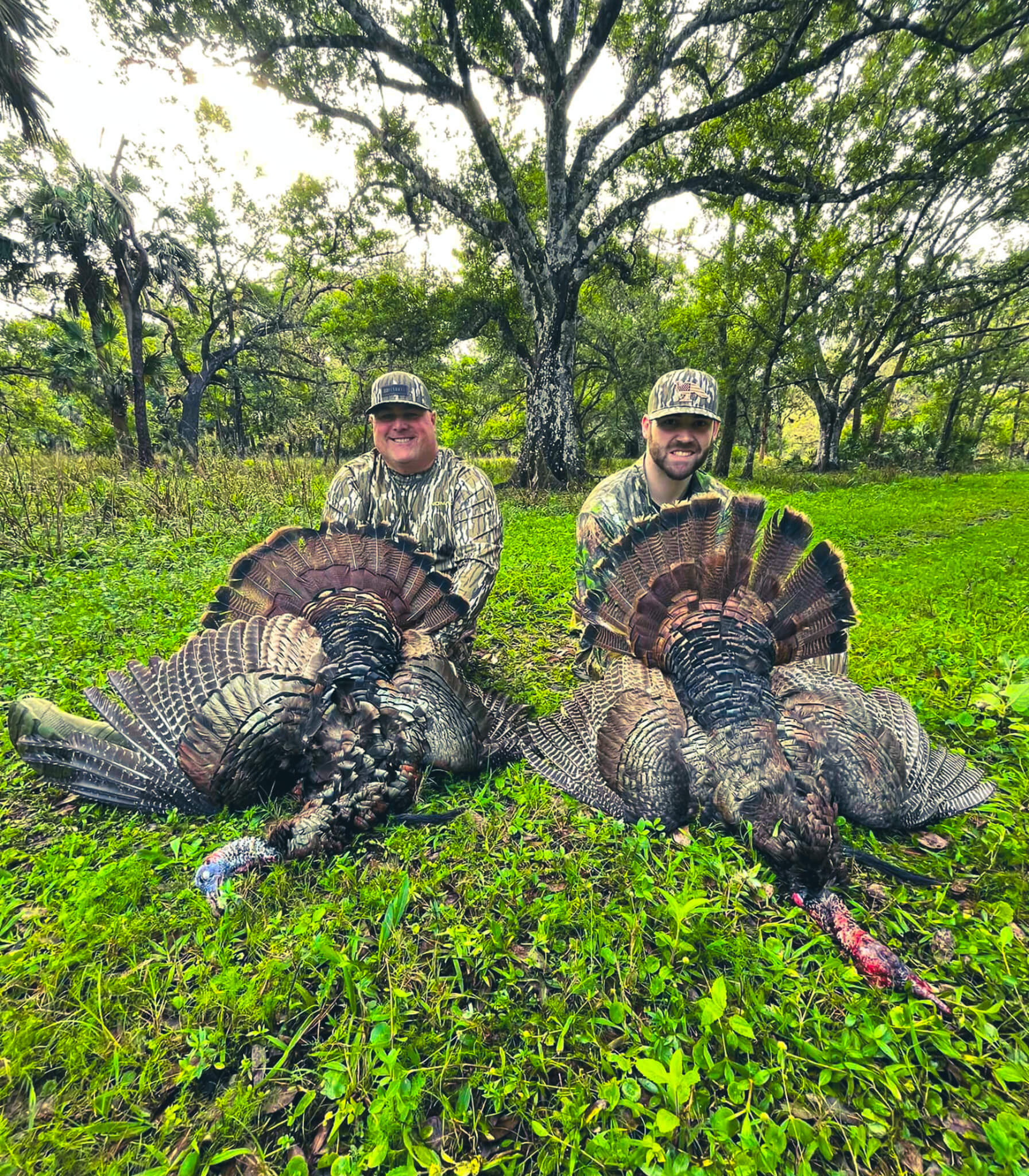 Guided hunt in South Florida