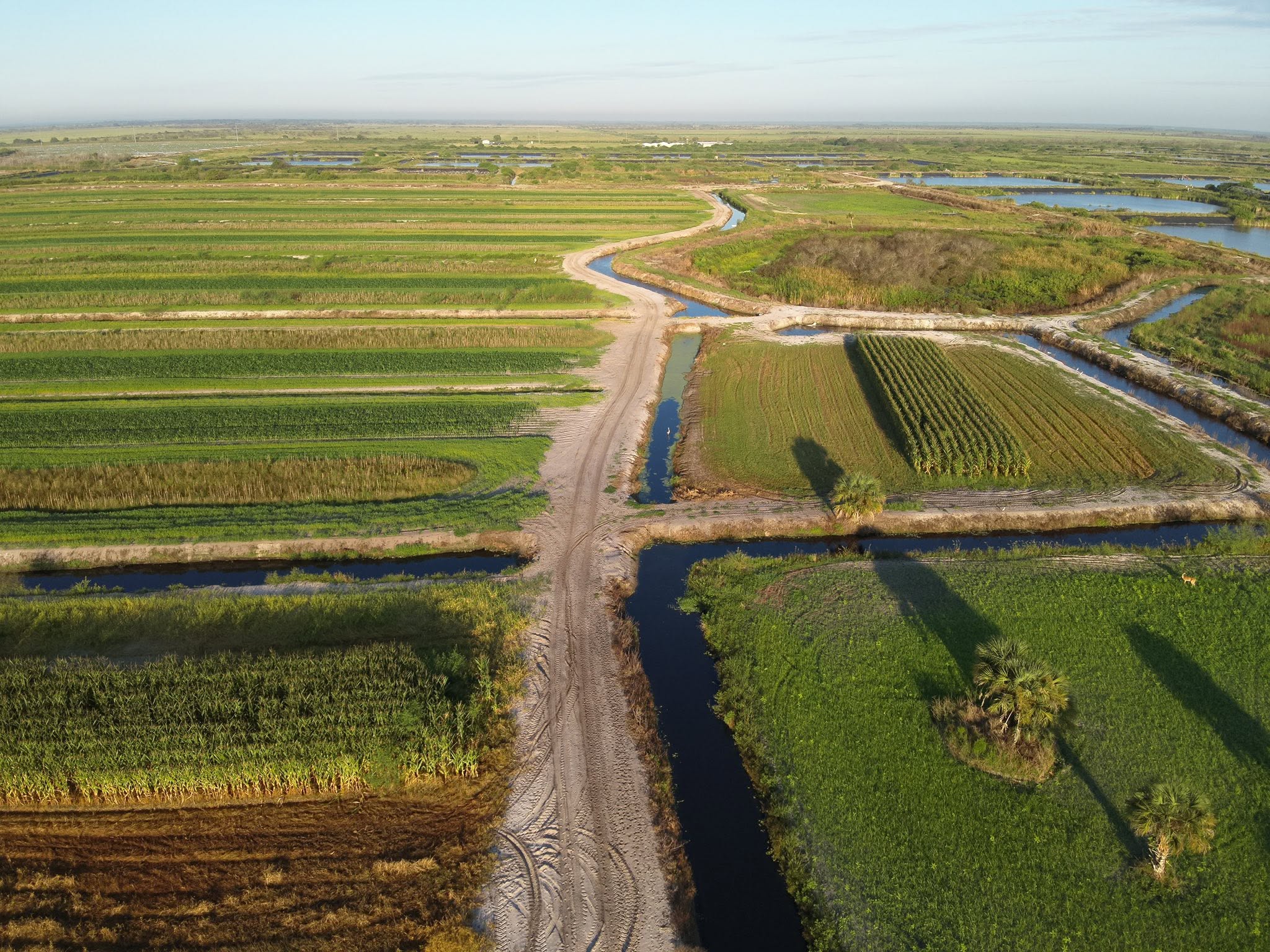 Aerial view of the Everglades Adventures hunting property in South Florida