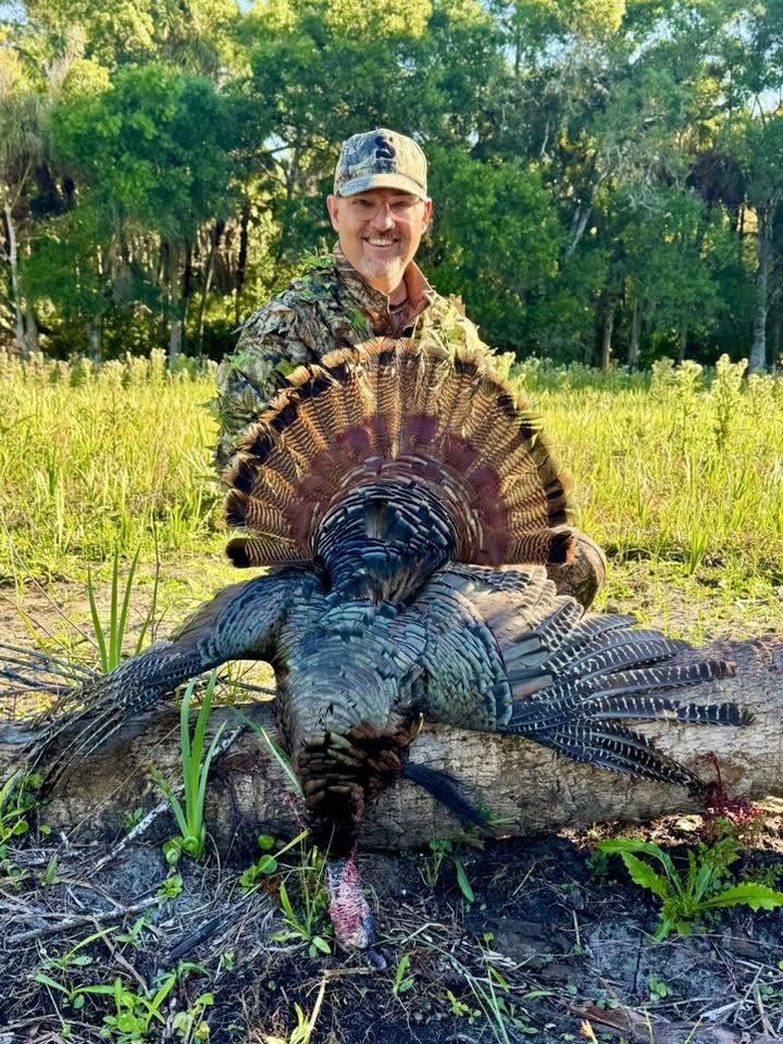 Osceola turkey hunt with Everglades Adventures