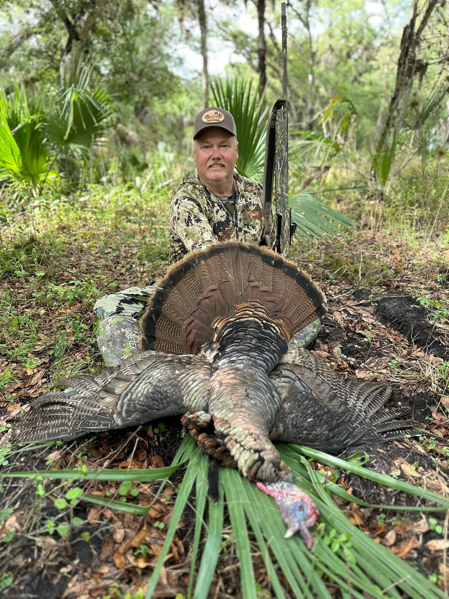 Osceola turkey hunt with Everglades Adventures