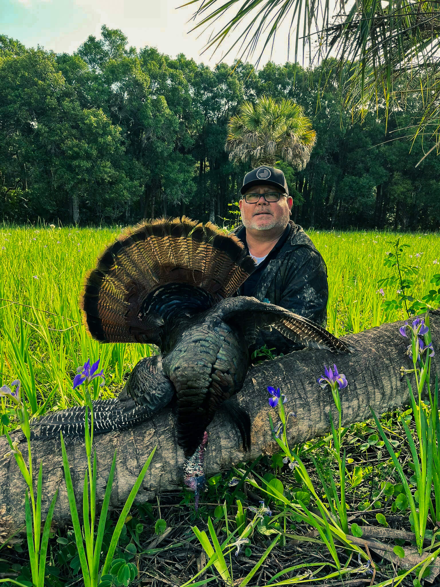 Osceola turkey hunt lodging and success
